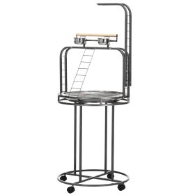 Parrot Stand Large Bird Perch Stand with Toy Hook & 3 Ladders, Parrot Perch, Bird Wooden Stand, Gray