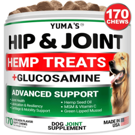 Hemp Hip And Joint Supplement For Dogs Glucosamine For Dogs Joint Pain Relief With MSM Advanced Dog Joint Supplement Health Glucosamine For Dogs Chews