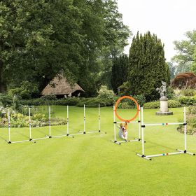 Backyard Competitive Dog Agility Training Kit Obstacle Course Equipment